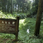 馬洗いの池