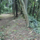 姿の良い土塁