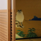 ジャコウネコさん（新しいの）