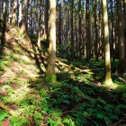 主郭土塁