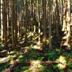 屋敷跡土壇