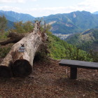 ？霧山_526ｍ