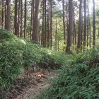 虎口跡