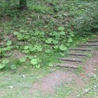 徒歩登城路