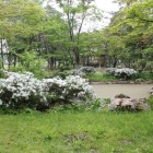 堀田城麓に在る分家池田家庭園