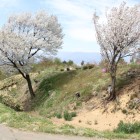 東２の南側城塁、西へ長い横堀