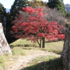 長局埋門内より