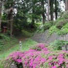 西館下大堀切