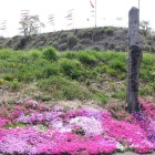 本城曲輪、北登城口、標柱