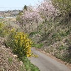 本城、西１間の堀切