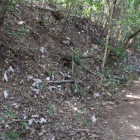 西の尾根曲輪切岸と登城路