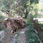 城山稲荷の途中の倒木。すり抜けて進みます