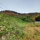 三成居館跡から佐和山城をのぞむ