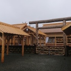一般公開中の大嘗宮