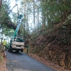 大堀切は倒木の撤去作業中