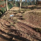 本丸と矢倉跡の間の堀切