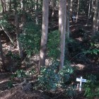 主郭北側の堀切