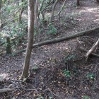 主郭北側の曲輪北端の堀切と土橋