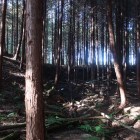 ７位　桜町中将城