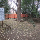 城山神社(本丸)裏手にある四脚門跡