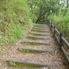 道中の登りはずっとこんな感じ