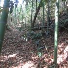 大手道