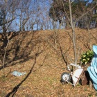 Ⅷ郭（千畳敷）最上段南斜面