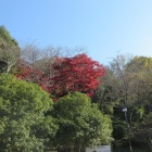 遠景