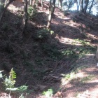 土橋北堀・土塁D