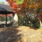 城域