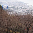 物見台から見える小田原城