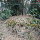 興禅寺庫裏北の土塁