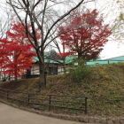 模擬館の建ってる曲輪台