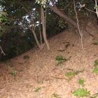 本丸櫓台か？櫓台城塁