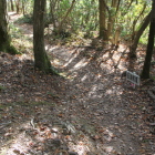 伝猿馬場