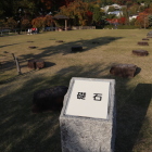 礎石跡
