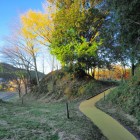 虎口・土橋址