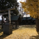 イチョウに染まった神社