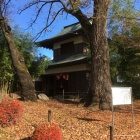 櫓