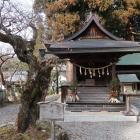 八王子神社の柿本人麻呂社と明智光秀公手植えの楓