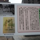 若宮八幡大神宮の説明板