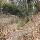 芥川山城内の分岐