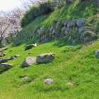西ノ丸石垣（北西側）