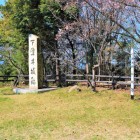 本丸跡と城趾碑