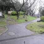 本曲輪に上がる登城路