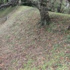 東側の本丸高土塁法面