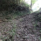本丸登城路虎口