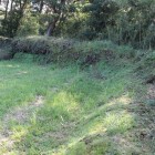本丸土塁