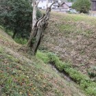 西側の二重高土塁と間の濠