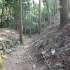 中間本曲輪下の横堀、右切岸、左土塁